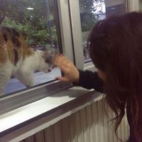 Müge Gürgen's Photo