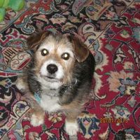 Nicole Neess的照片