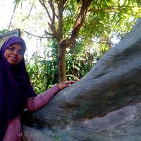 Marwa Hamed的照片