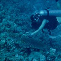 Yane Brueggemann的照片