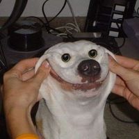 Daniel Valencia's Photo