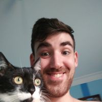 Nikola Ristevski的照片