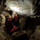 West Papua Exploring 's picture