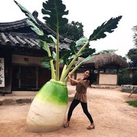 Fotos de Sung Youn Son