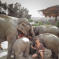 Nico Waisman的照片