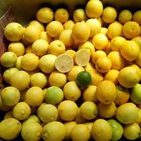 Bernardo Hernandez's Photo