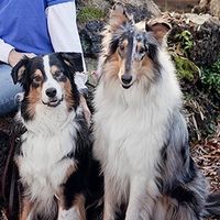 Cinder Wilkinson-Kenner的照片