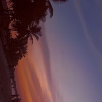 Fotos de Amadou King