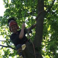 Justin Hemming的照片