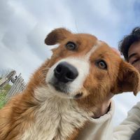 Şükrü+Elber Kanşıray's Photo