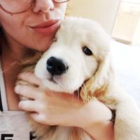 Emily Townsend的照片