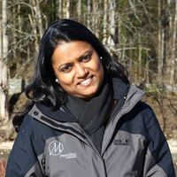 Photos de Roopali Guptum