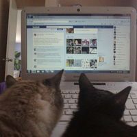 Fotos de Omar Fuentes Rosa