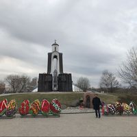 Daryoush Morad的照片