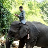 Photos de Marion Chevalier