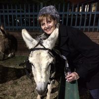 Desireé Voudouris's Photo