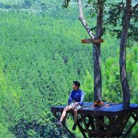 Firdaus Ali的照片