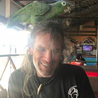 Jack Sparrow 🇨🇦✅的照片