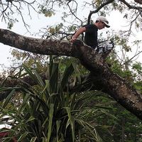 Alex Buchanan's Photo