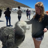 Vienna Willms的照片