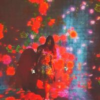 Thippawan M.'s Photo