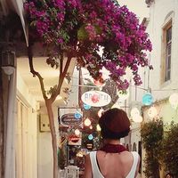 Cansu Üçer的照片