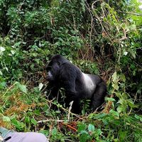 Manuel Marin的照片