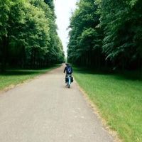 Le foto di andres Roman