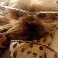 Kimberly Meade's Photo