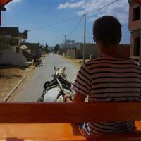 Martin Puledda的照片