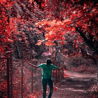 Debaditya Pal的照片