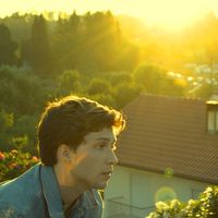 André Morgado的照片