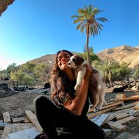 Dina Cohen's Photo