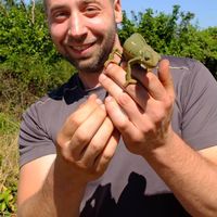 Фотографии пользователя Balazs Szendi