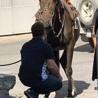 Mickael Wilhelm's Photo