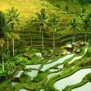 Volunteer work & Open Mic的照片