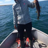 Jennifer Deyarmond的照片