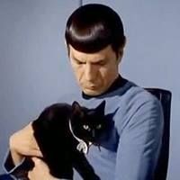 Eric Maniace的照片