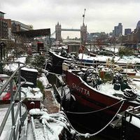 Fotos de Elaine Hughe