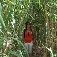 sarah lardeau的照片