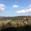   پیاده روی's picture