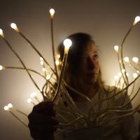 Fotos von Bridget Zeiger