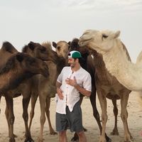 Stefan Strauch's Photo