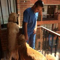 Photos de Luis Javier Muñoz Suarez