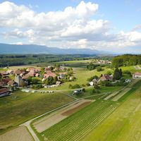 Le foto di Lea & David