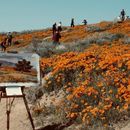 Sketching Meet & Greet's picture