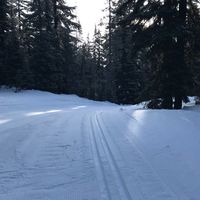 Austin Arguello的照片