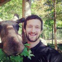 Jakob Liliekvist's Photo