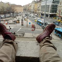 Pécsi Tomi的照片