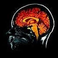 Karen Mouriec的照片